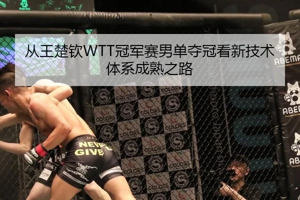 从王楚钦WTT冠军赛男单夺冠看新技术体系成熟之路