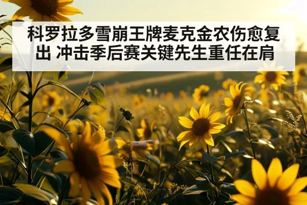 科罗拉多雪崩王牌麦克金农伤愈复出 冲击季后赛关键先生重任在肩